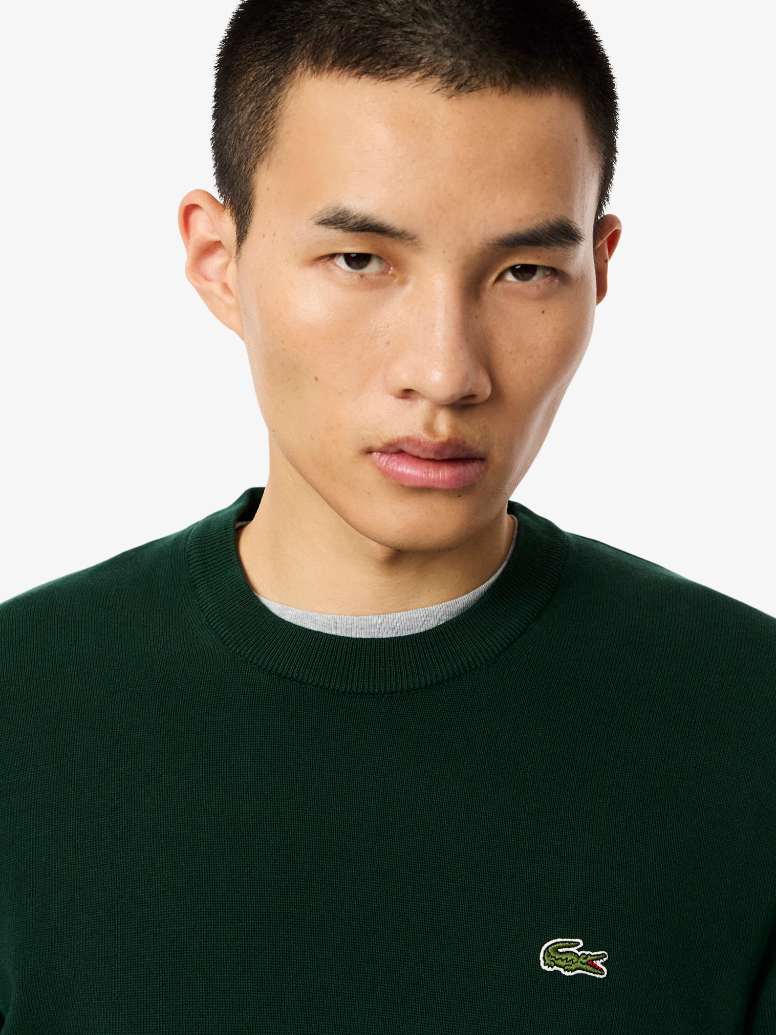 LACOSTE Monochrome Crew Neck Cotton Sweater Sinople Green