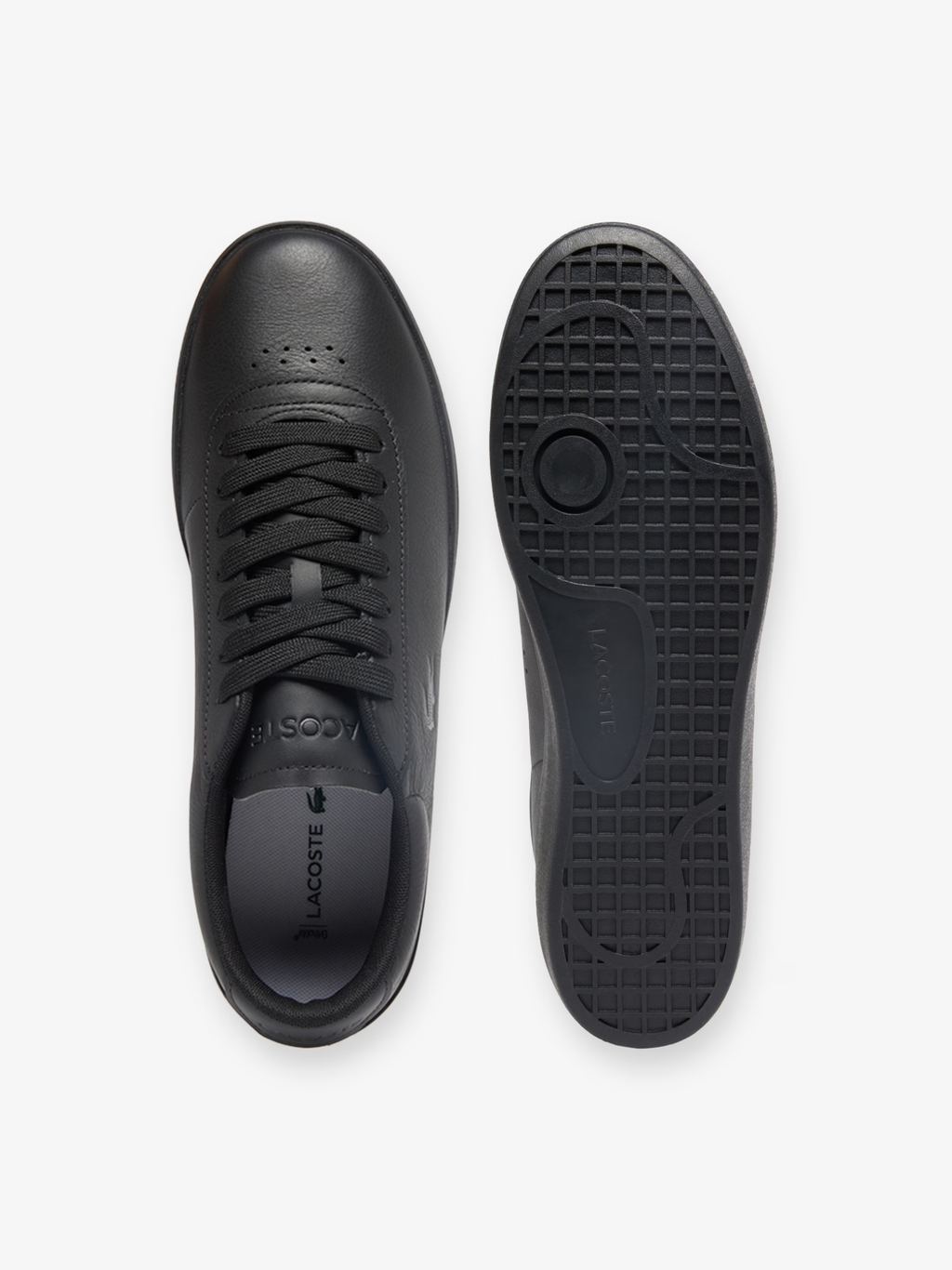 LACOSTE Baseshot Evo Leather Sneakers Black/Black