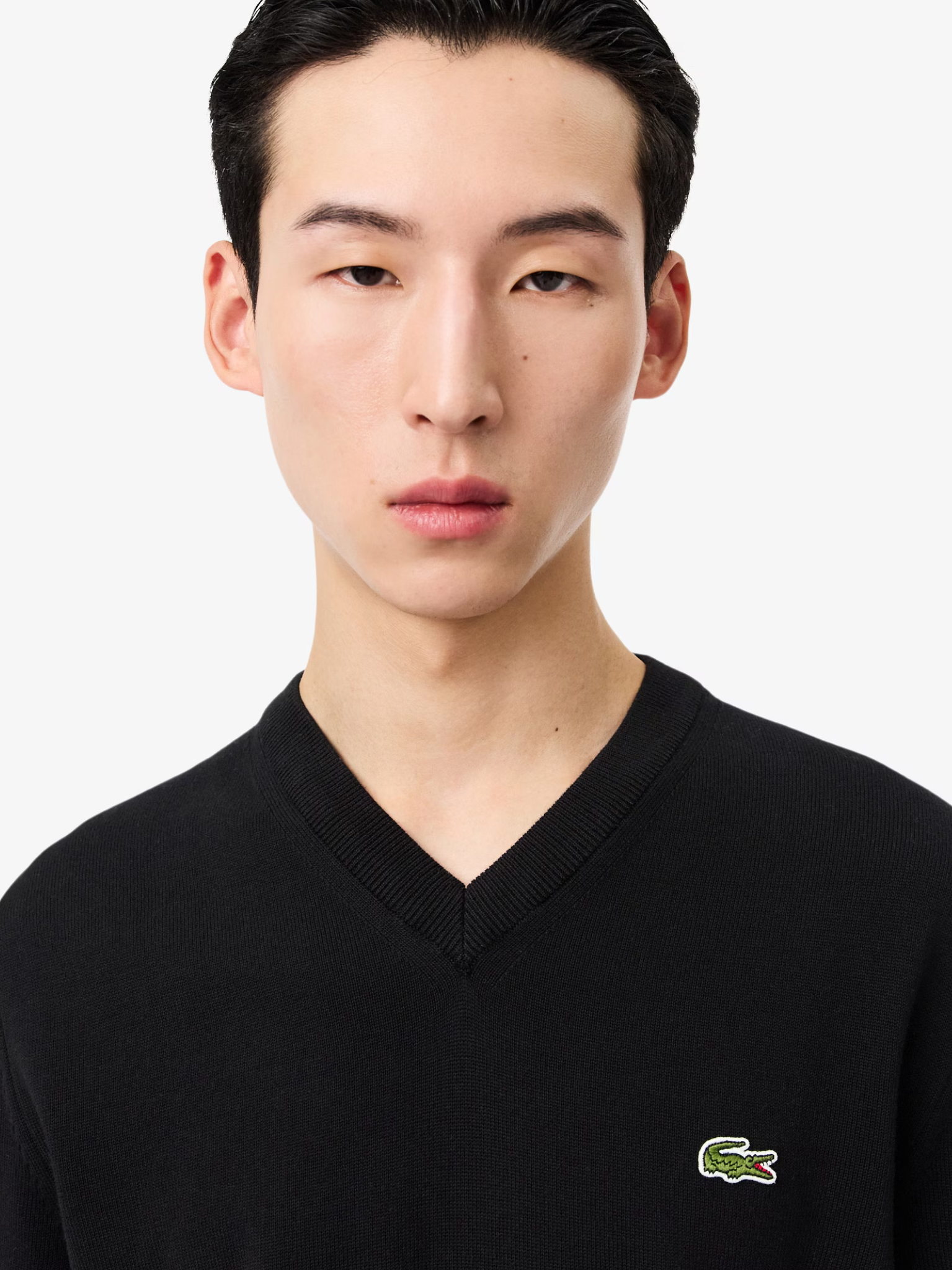 LACOSTE Monochrome Cotton V-neck Sweater Black
