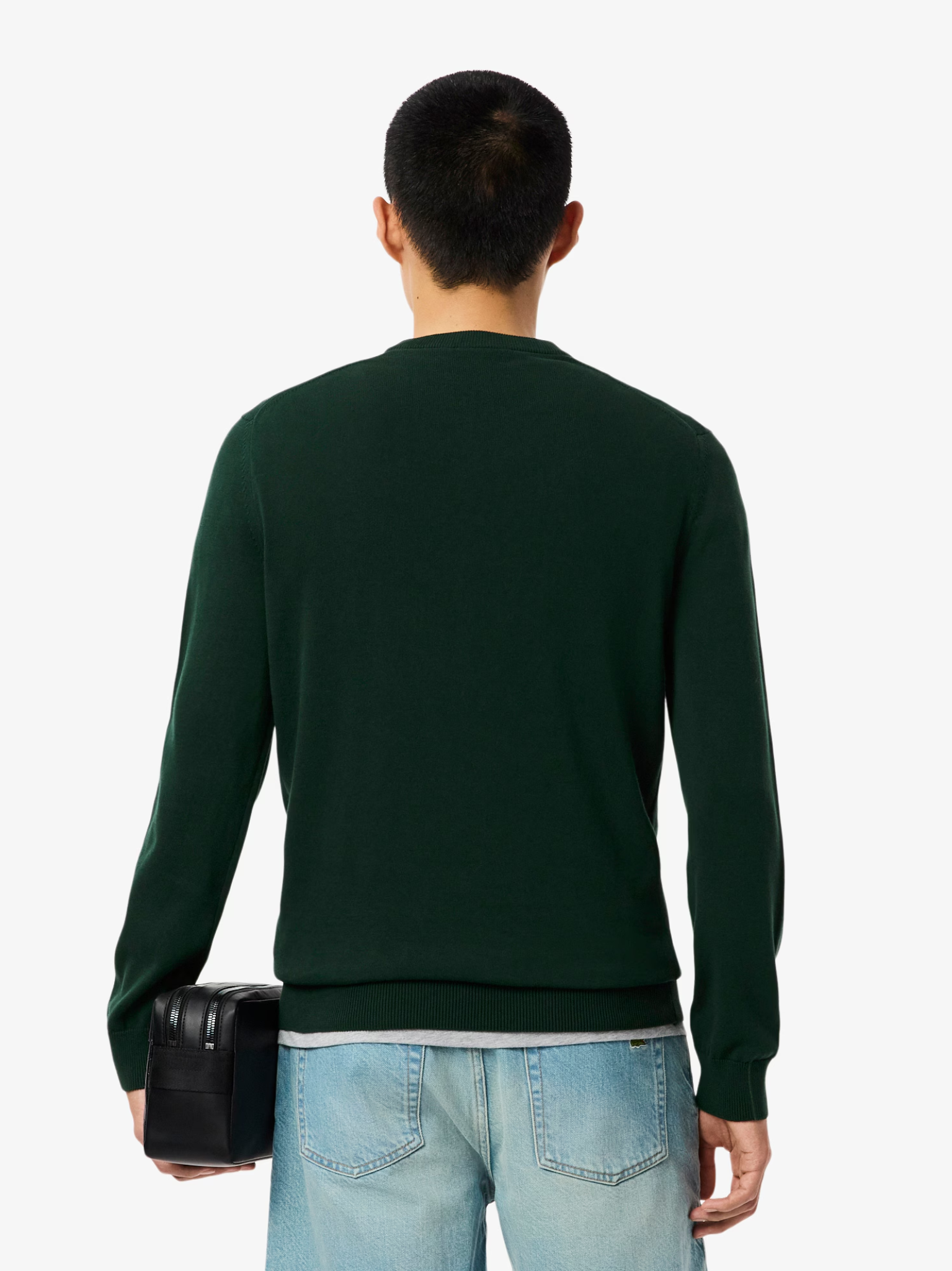 LACOSTE Monochrome Crew Neck Cotton Sweater Sinople Green