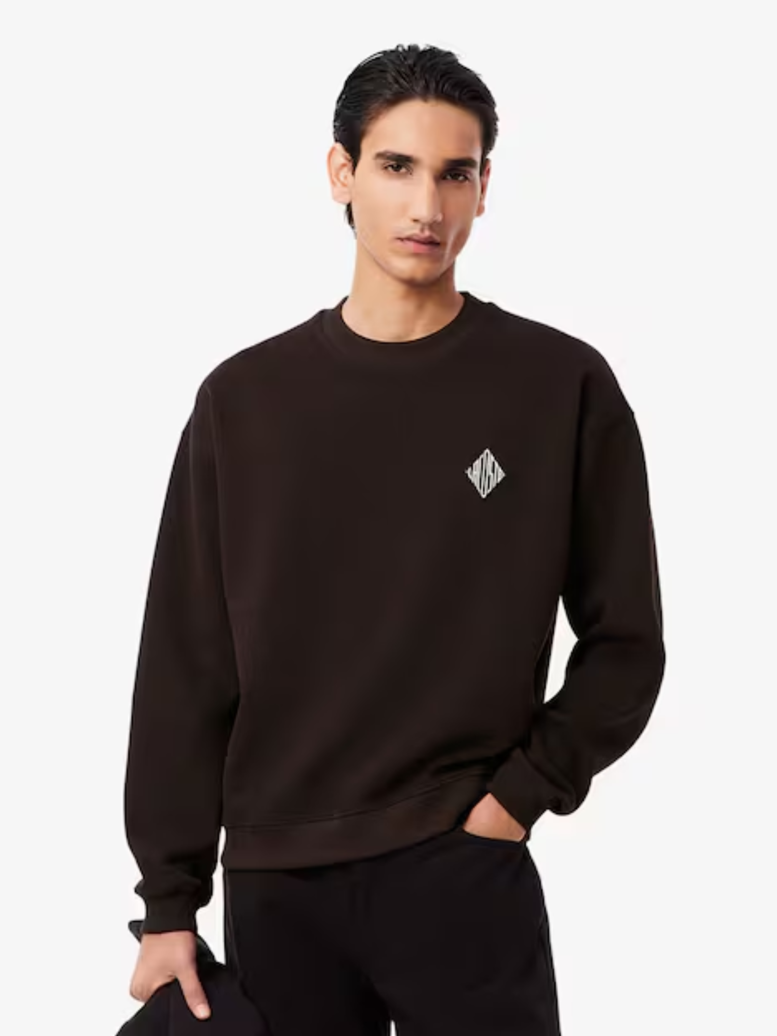 LACOSTE Double Face Piqué Badge Sweatshirt Brown