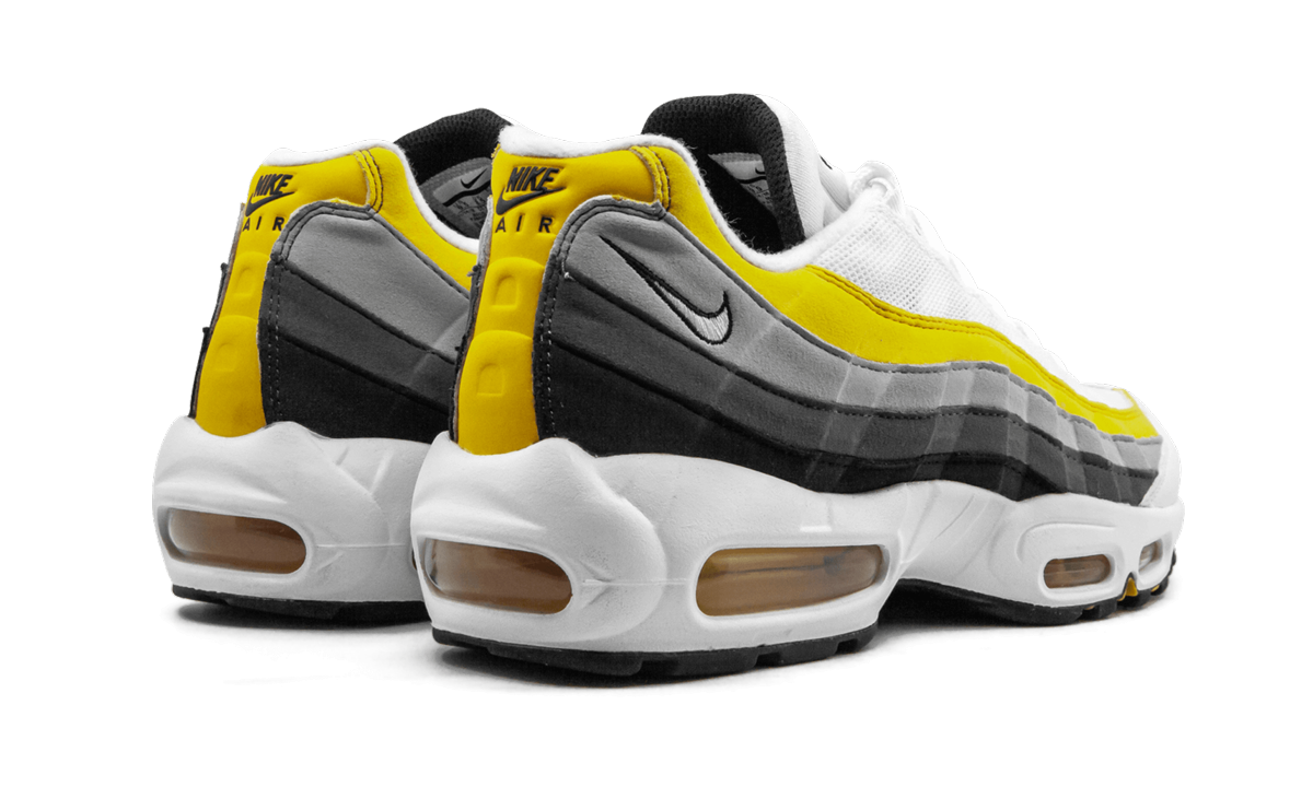 Air Max 95 CD7495 100
